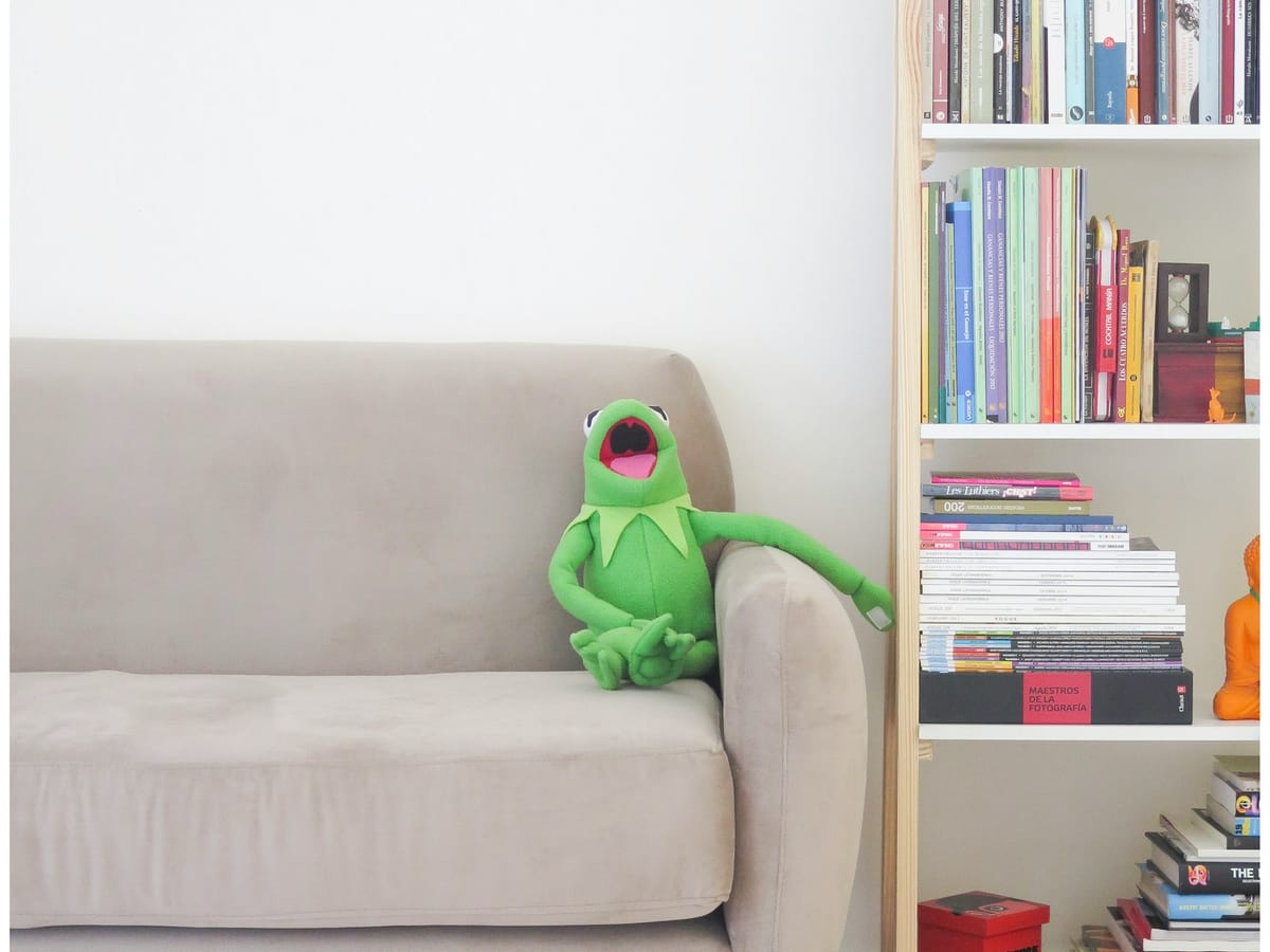 A frog puppet sits next to a stack of books.